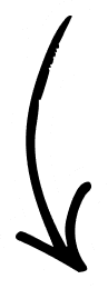 Arrow connecting the diagram